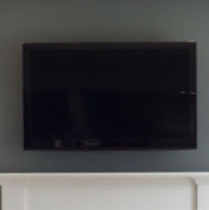 Meet your Posher, The living room tv